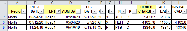 data view after using Excel's autofilter function