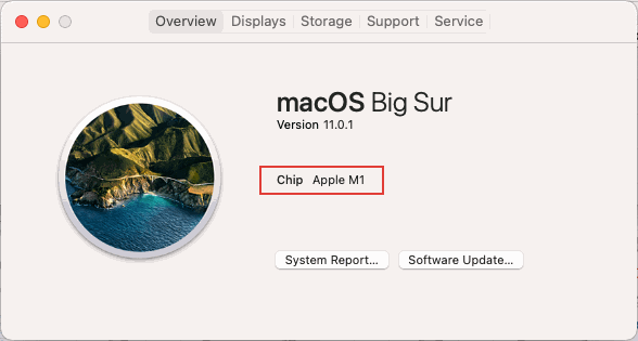Mac Chip Description Listing